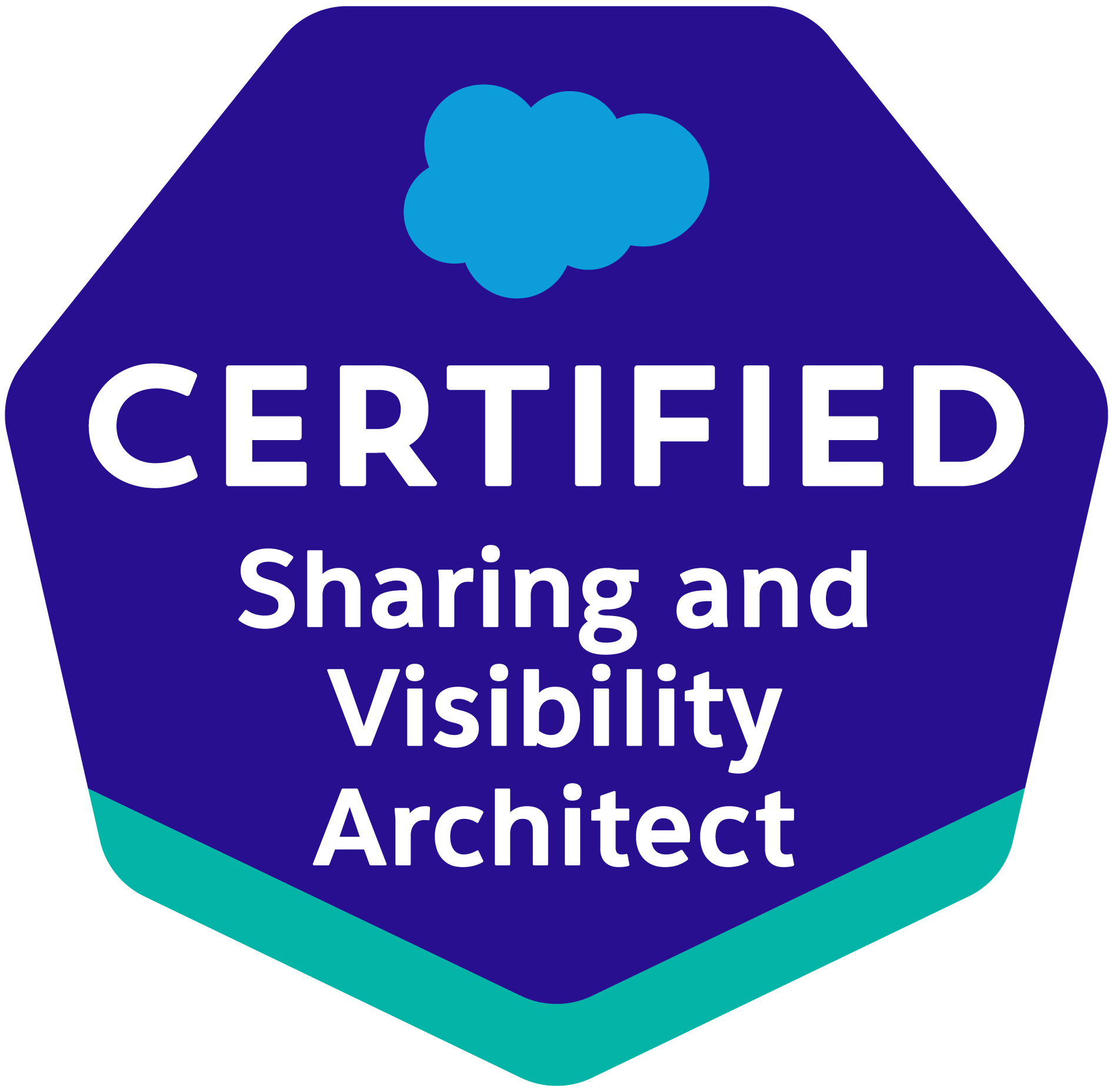 Certified Sharing and Visibility Architect